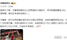 开云体育app-荣达菲主场势不可挡，连胜加冕