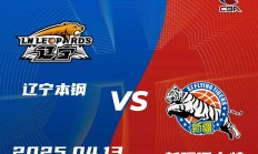 开云体育app-辽宁队主力伤愈归来，带领球队取胜