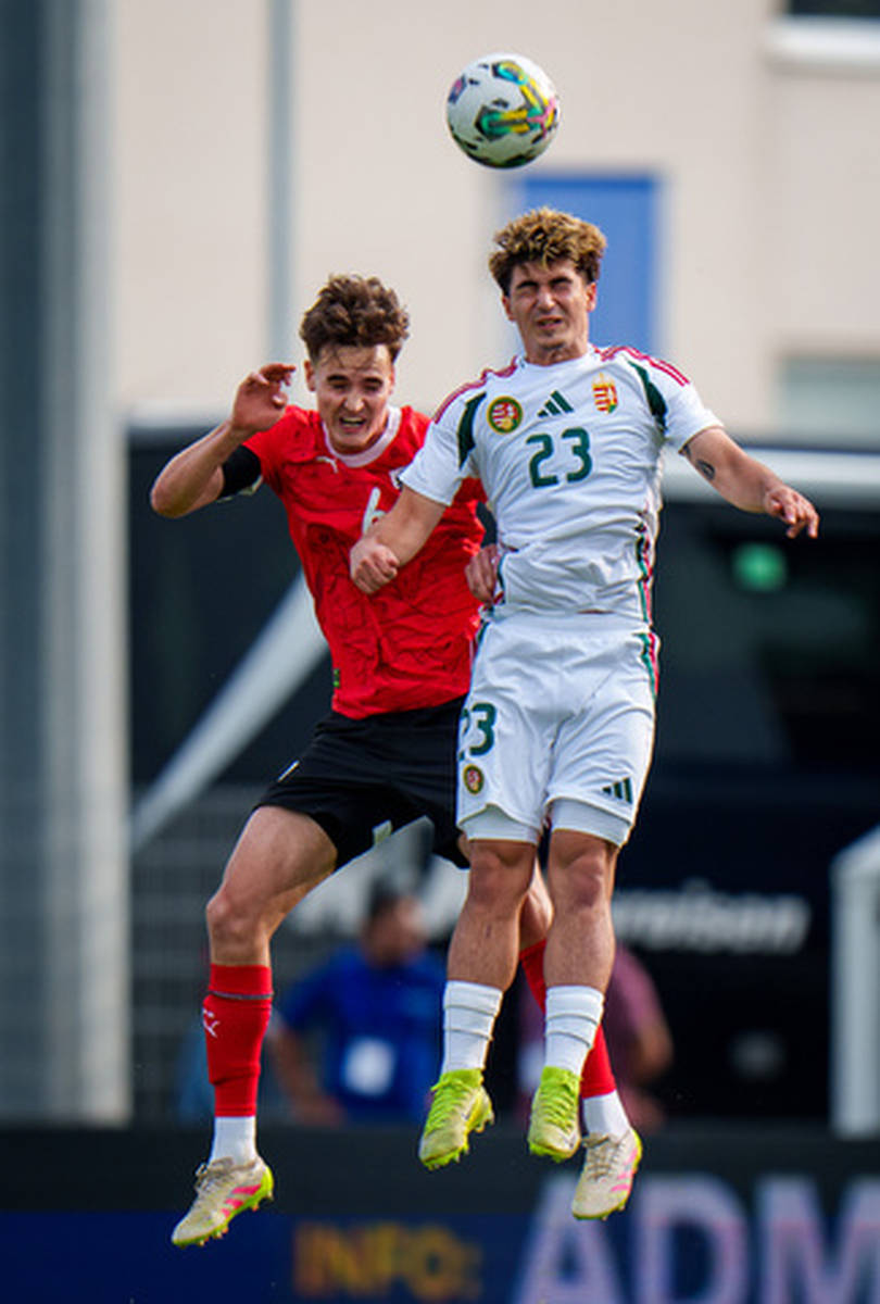 欧洲杯：匈牙利队输球无缘晋级