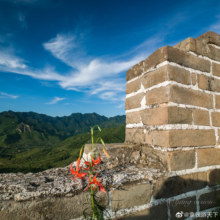 爵士突围太阳，迎来胜利的曙光